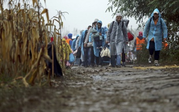 Közel százan akartak illegálisan bejutni hazánkba