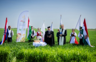 Búzaszenteléssel vette kezdetét az idei Magyarok Kenyere program