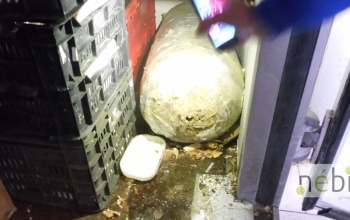 Borzasztó állapotokat tártak fel egy siófoki étteremben a Nébih munkatársai
