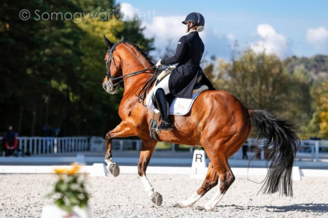 Díjlovagló-világkupa Kaposváron