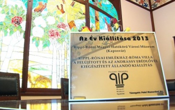 A Rippl-villa kapta az Év Kiállítása díjat