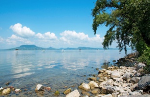 Agresszív invázió a Balatonon