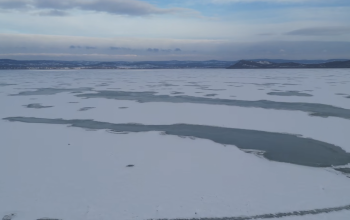 Ezért életveszélyes most a Balaton felszínére merészkedni