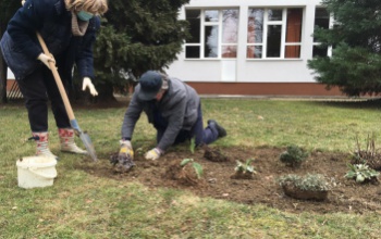 Kertből kert: a Munkácsy gimi és a Búzavirág ovi is megszépül
