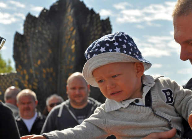 Újabb levelek hajtottak ki az Életfán