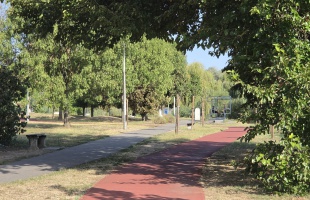 Megújul, új lehetőségekkel gazdagodik a kaposvári Városliget