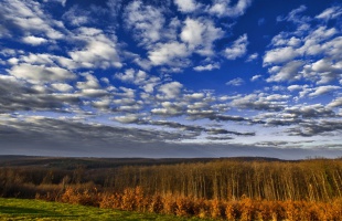 Nagyon ravasz, télből tavasz