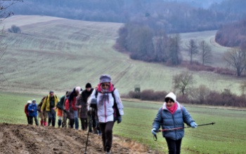 Mikor túráztál utoljára az egészségedért? Egy kiadós januári séta felér egy meditációval