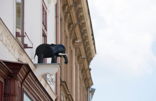 Kaposvári legendák 8. – Mit keres egy fekete elefánt a magasban?