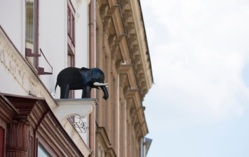Kaposvári legendák 8. – Mit keres egy fekete elefánt a magasban?