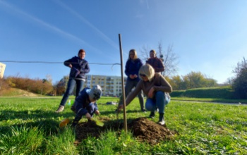 Szebb környezet, zöld jövő - 27 facsemetét ültettek Kaposváron