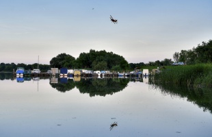 A Balatonnál is irtják a szúnyogokat a héten
