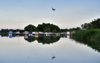 A Balatonnál is irtják a szúnyogokat a héten