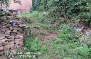 Agyonverte a gazdája szegény kutyát, mert az elkapott egy tyúkot az udvarban