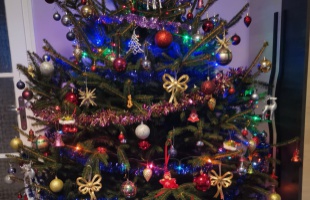 Noel és Reni karácsonyfája
