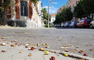 Igazi őszi idő várható, helyenként záporokkal