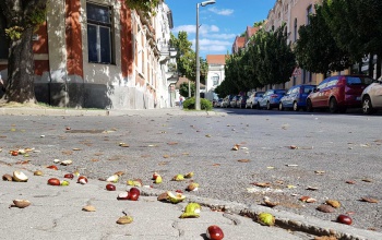 Igazi őszi idő várható, helyenként záporokkal