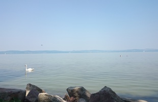 Kiváló a Balaton vízminősége