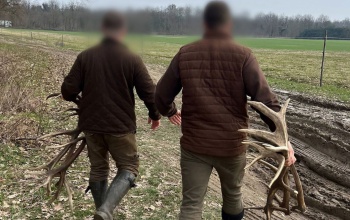 Összefogás az illegális agancsozás ellen – sikeres fellépés Lábod térségében