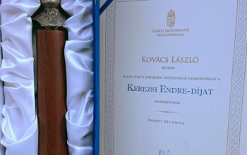 Kaposvári úszóedző országos elismerése