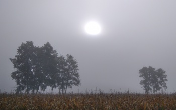 Marad a ködös, borongós idő a hétvégén