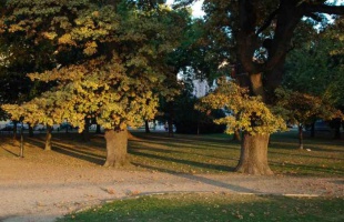 Vasárnap megint akár 20 fok is lehet