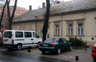 Kordon? Minek az oda? Parkoló autósok akadályozták meg a fametszést