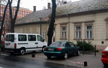 Kordon? Minek az oda? Parkoló autósok akadályozták meg a fametszést