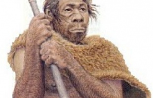 A neandervölgyi kontra modern ember
