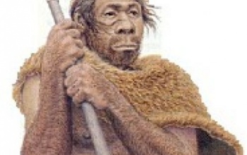 A neandervölgyi kontra modern ember