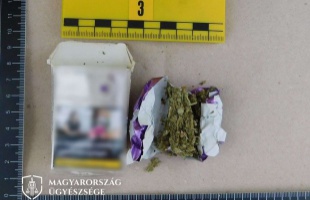 „Biofűvel” kereskedtek Somogyban és Zalában