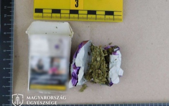 „Biofűvel” kereskedtek Somogyban és Zalában