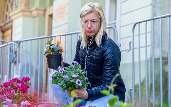 Tizenötezer virág talált gazdára a sétálóutcán