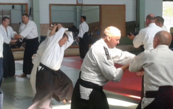 Huszonöt éve aikidoznak a somogyi megyeszékhelyen
