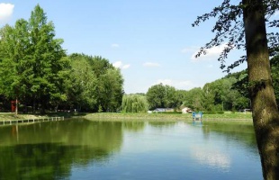 Nyár a Gyertyánosban