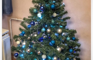 Norberték karácsonyfája