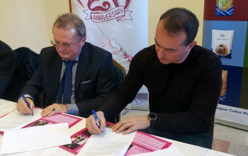 Szerződést hosszabbított a Diamant Sasa Nedeljkovic-csal