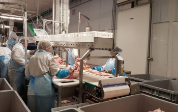 Mindenkinek érdeke a tisztességes fizetés