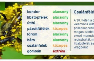 Magas a levegő pollenszintje