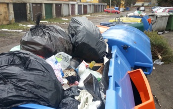 Még ki sem dobtam a szemeteszsákot, de már szétkapták - csatatér a kaposvári szemétgyűjtők körül