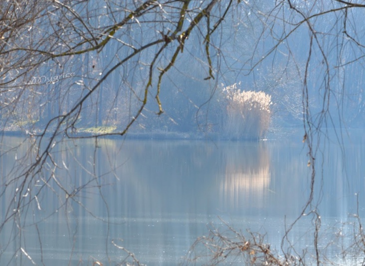 Deseda