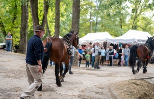 Családok, szakma, szórakozás a KÁN szombati napján
