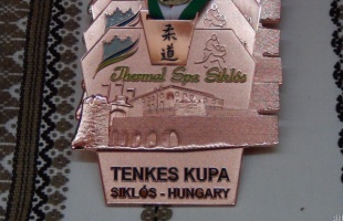 Kaposvári sikerek a Tenkes kupán