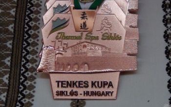 Kaposvári sikerek a Tenkes kupán