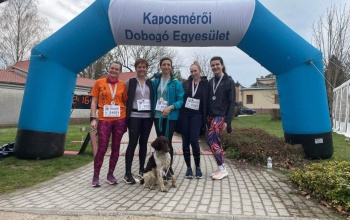 Orvosi sikerek a MérőMaratonon