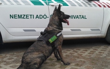 Újra négylábú munkatársakat keres a NAV