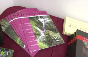 Tízéves a Búvópatak