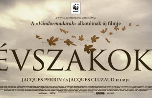 Az év természetfilmje a Szivárványban: természetvédelmi szervezeteket támogatnak a bevételből