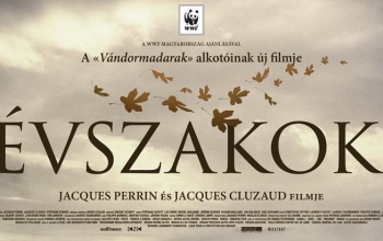 Az év természetfilmje a Szivárványban: természetvédelmi szervezeteket támogatnak a bevételből