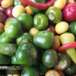 5 kg csereszenyepaprika